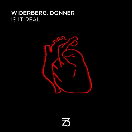 widerberg & Donner - Is It Real [ZT23601Z]